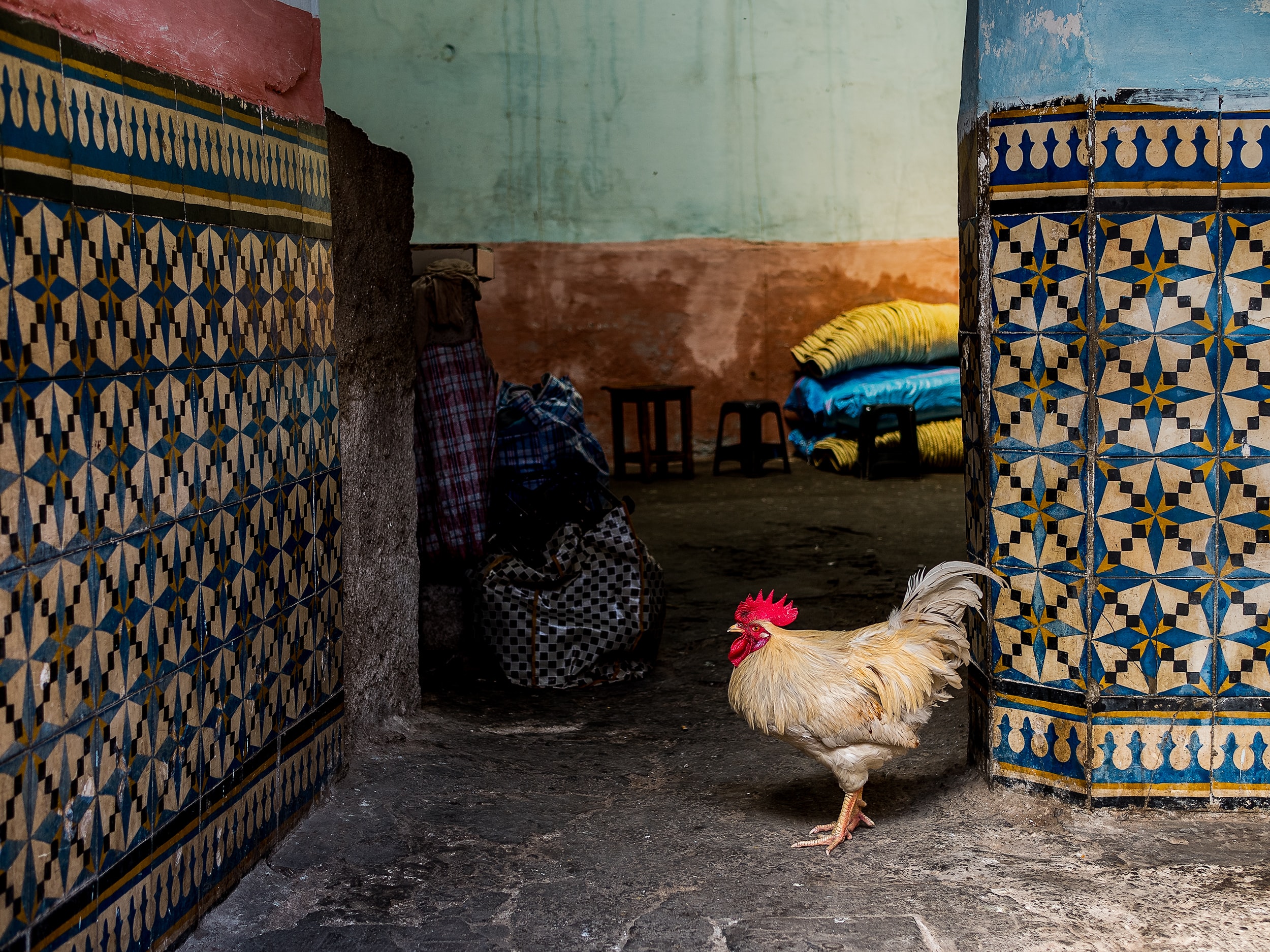 Morocco, cultural journey, imperial cities Morocco, cultural journey, imperial cities