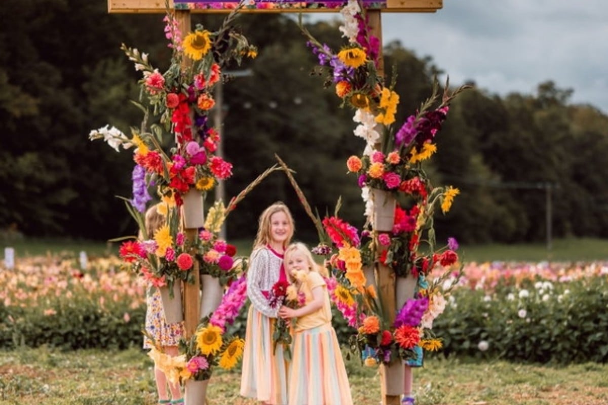 Pick Your Own Flowers experience at Forage Farm