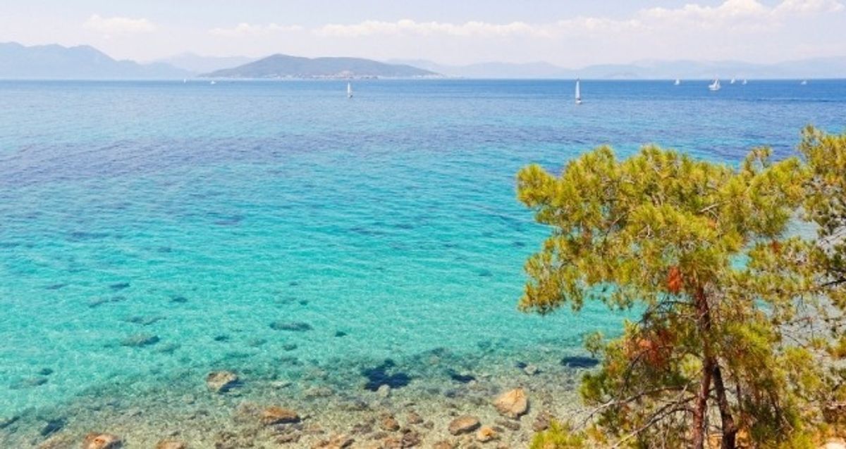 Sailing boats gathered near Aegina