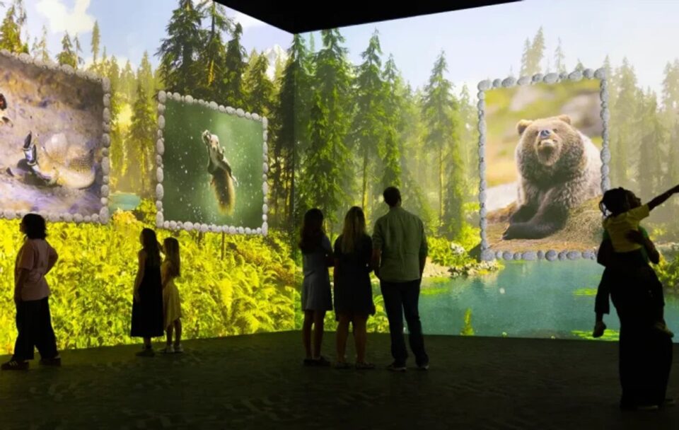 Immersive forest habitat from the Nikon Comedy Wildlife Awards residency
