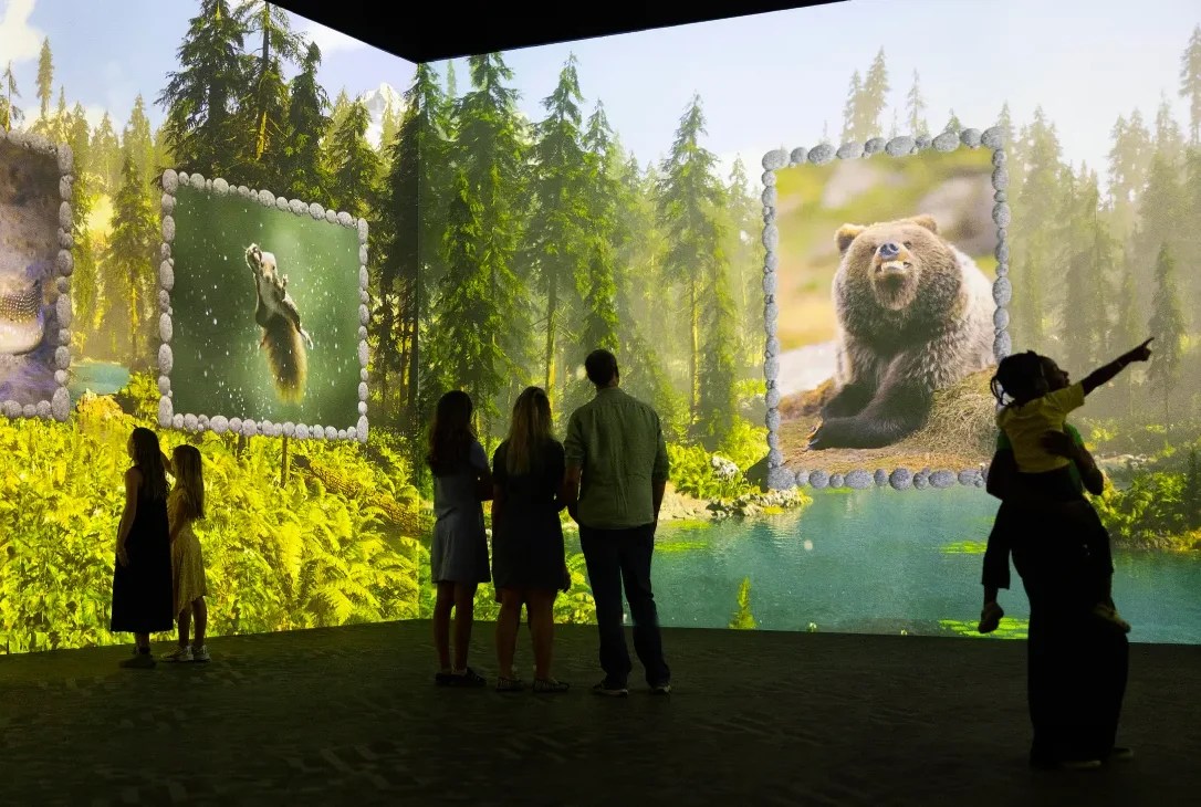 A colourful forest scene from the Comedy Wildlife experience