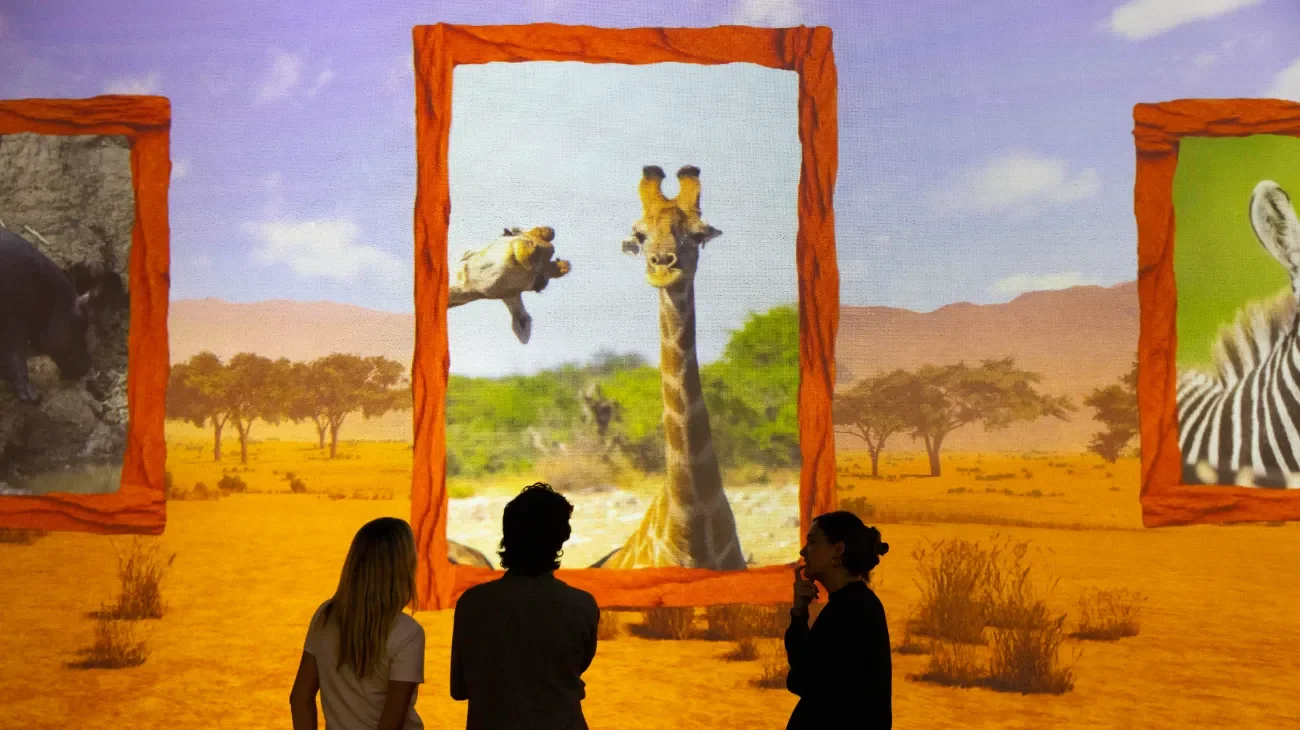 Grassland scene from the Comedy Wildlife Awards immersive habitats