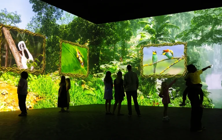Wildlife photography presented in a Frameless residency