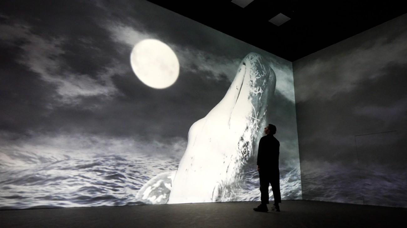 A whale-themed immersive artwork at Frameless