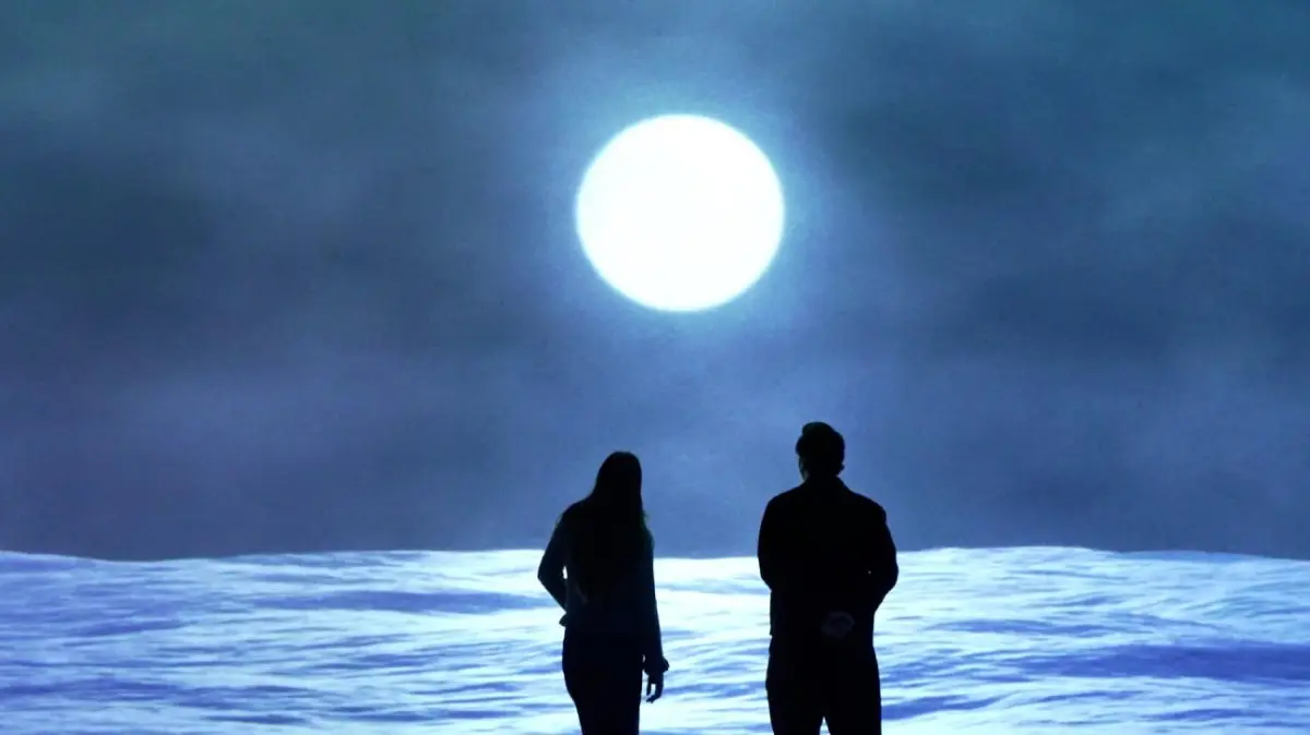 The Whale residency shown as an immersive projection scene