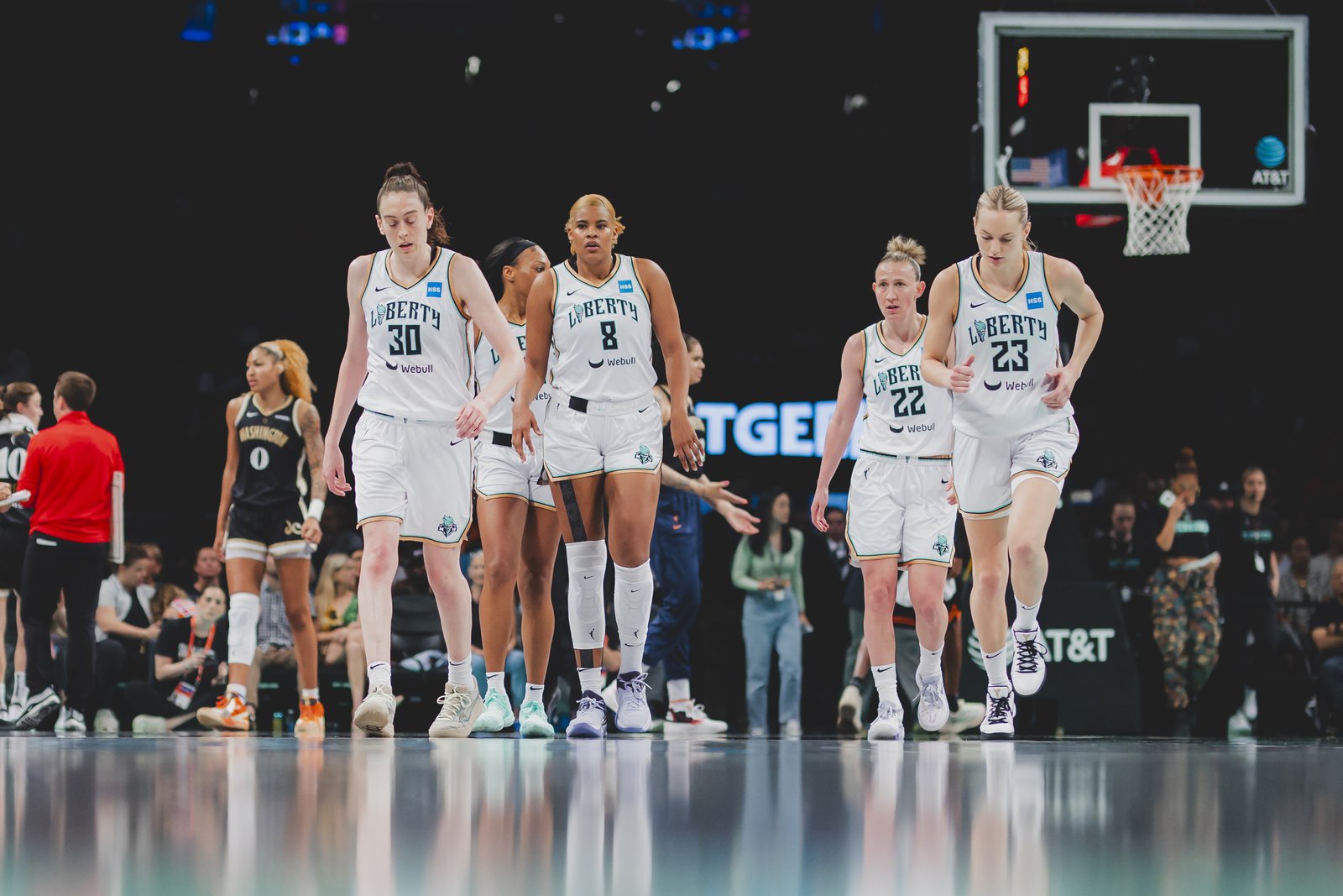 Crowd inside Barclays Center during a Liberty theme game