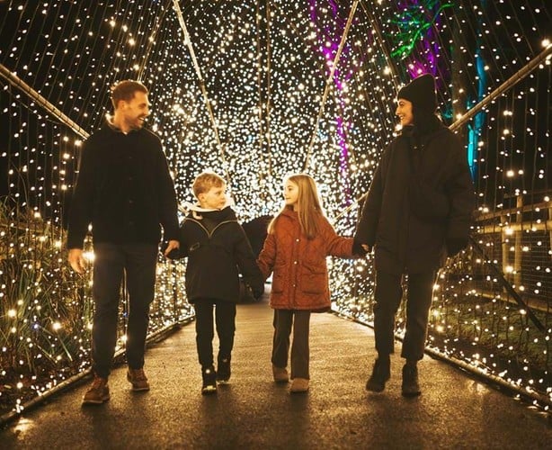 Illuminated light trail at Port Lympne