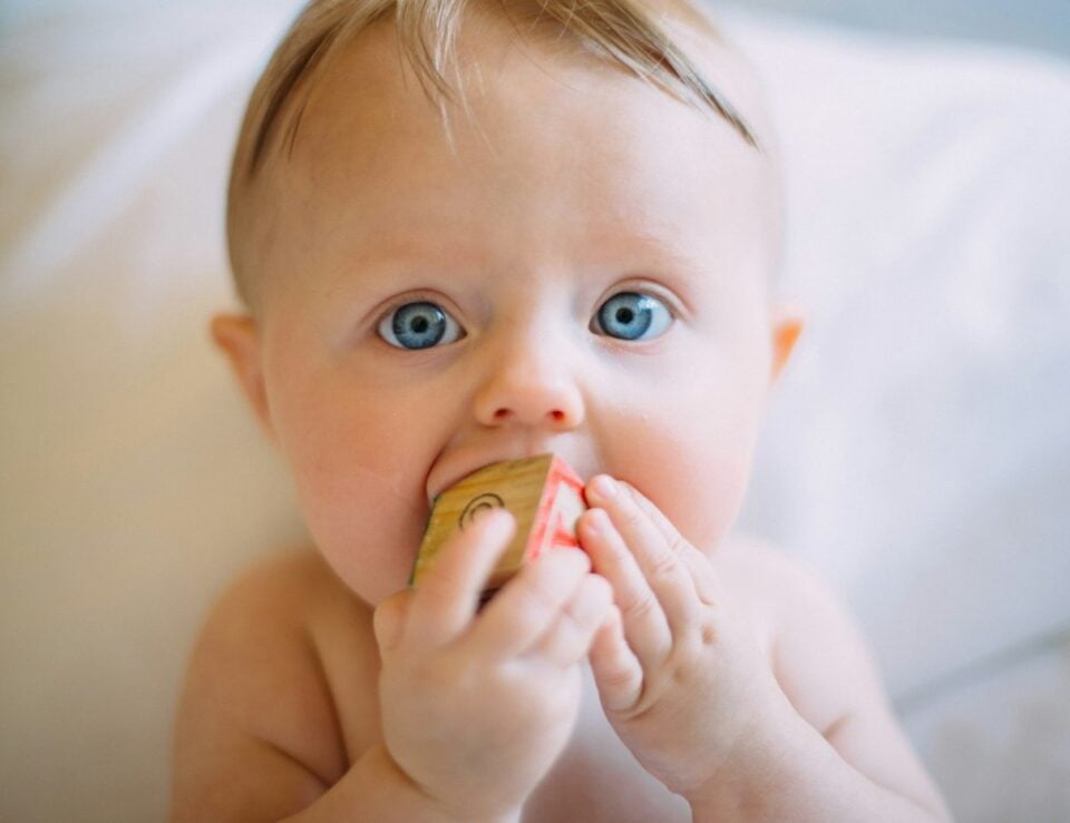 Baby chewing a wooden block